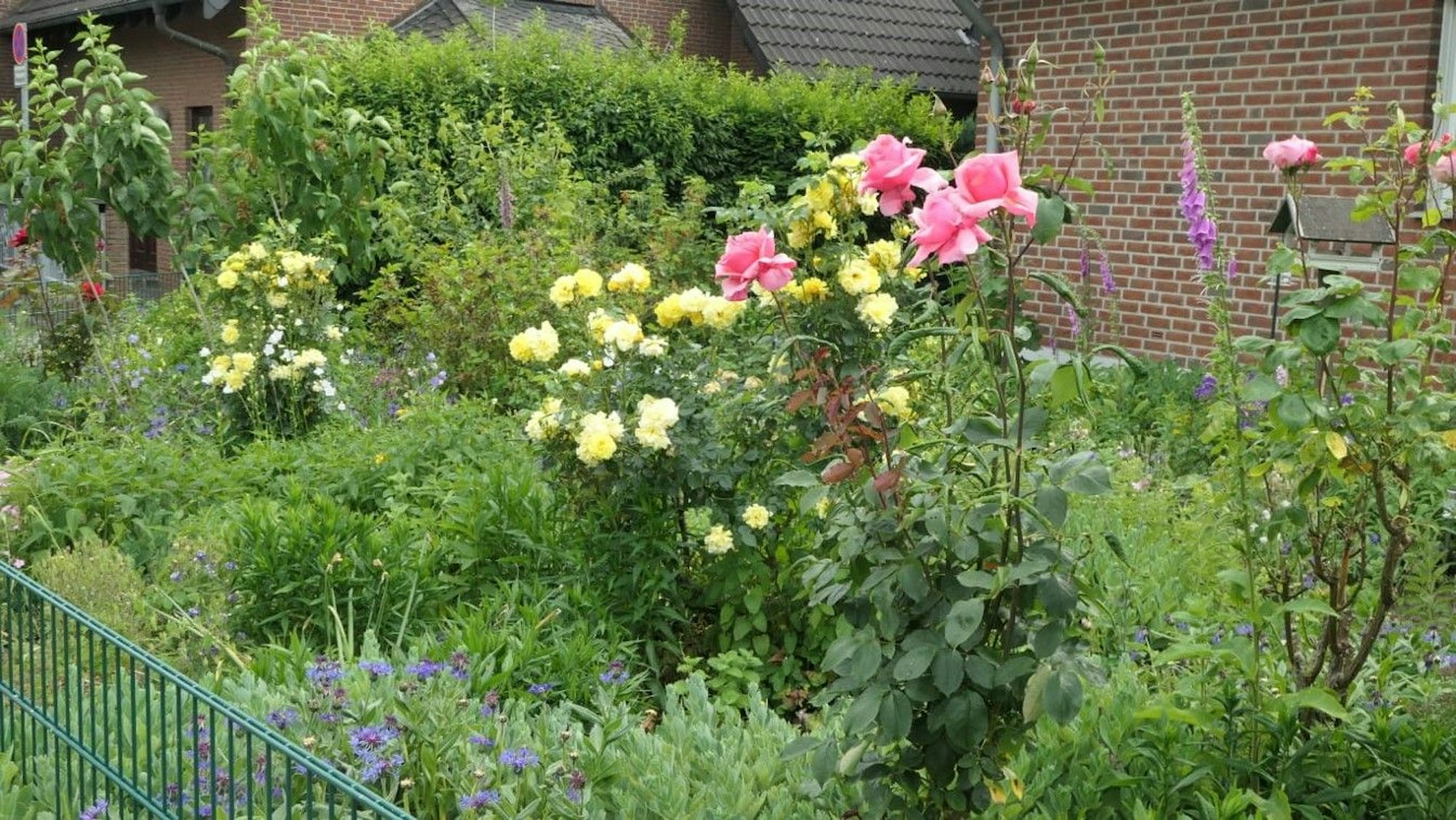 Der Garten von Doris Pohlig.
