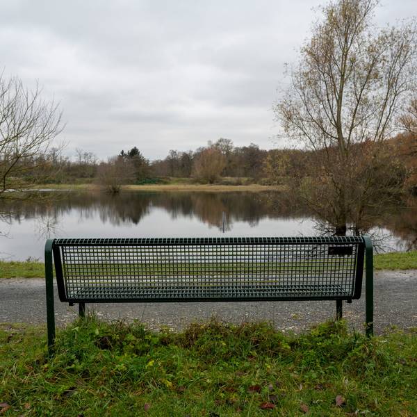 Zu sehen ist eine Parkbank vor einem Weiher.