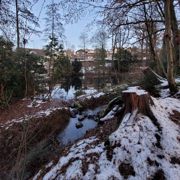 In Waldbröl soll der Wiedenhofpark neugestaltet und zu einem Lernort unter freiem Himmel umgestaltet werden. Tätig werden muss dort aber auch der Aggerverband, da der Zu- und der Ablauf des Wiedenhofbachs neugemacht werden müssen. Unser Foto zeigt einen Teil des Teiches sowie den Abfluss des Baches.