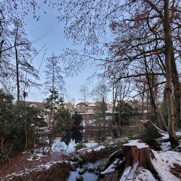 In Waldbröl soll der Wiedenhofpark neugestaltet und zu einem Lernort unter freiem Himmel umgestaltet werden. Tätig werden muss dort aber auch der Aggerverband, da der Zu- und der Ablauf des Wiedenhofbachs neugemacht werden müssen. Unser Foto zeigt einen Teil des Teiches sowie den Abfluss des Baches.