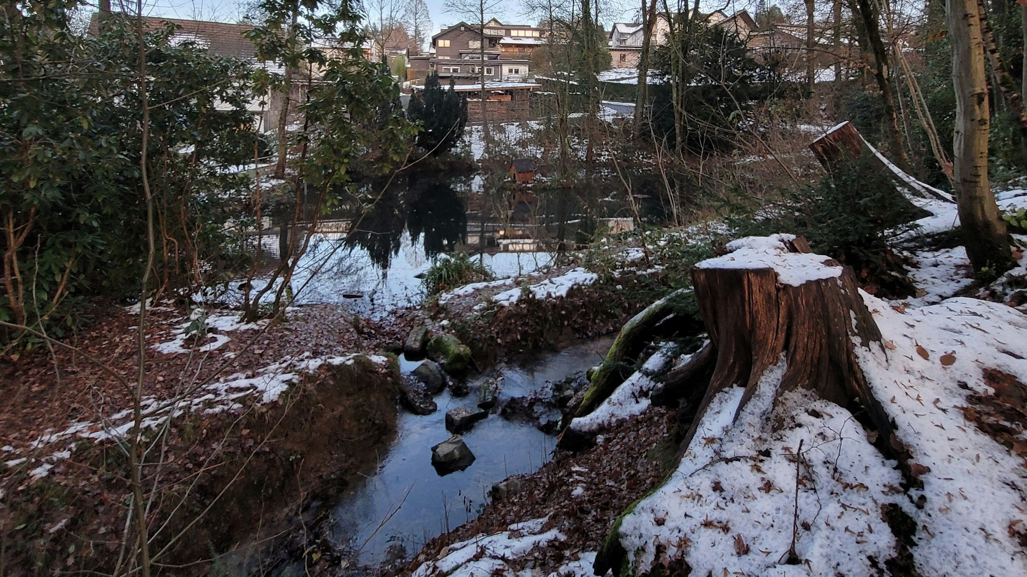 In Waldbröl soll der Wiedenhofpark neugestaltet und zu einem Lernort unter freiem Himmel umgestaltet werden. Tätig werden muss dort aber auch der Aggerverband, da der Zu- und der Ablauf des Wiedenhofbachs neugemacht werden müssen. Unser Foto zeigt einen Teil des Teiches sowie den Abfluss des Baches.