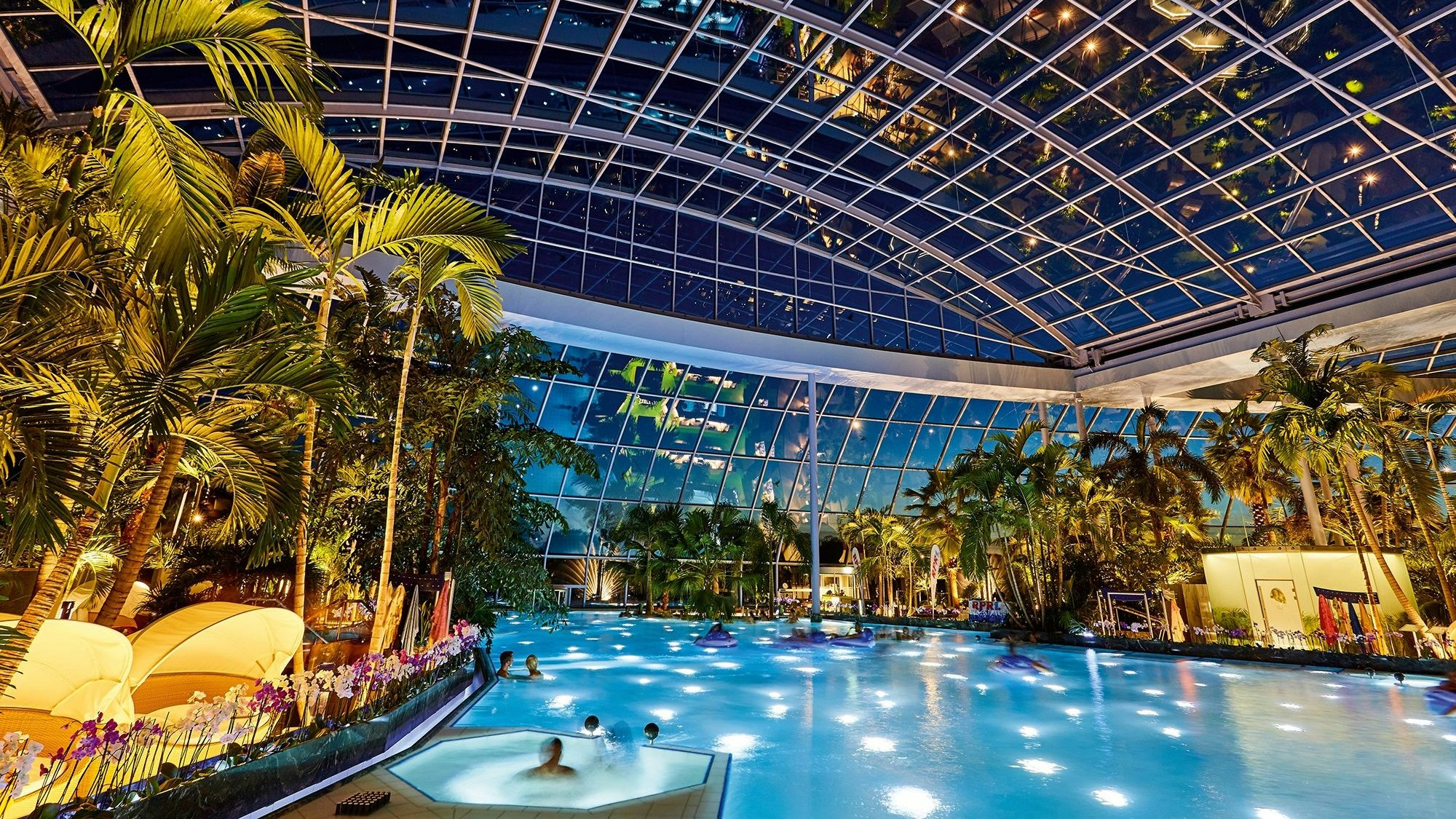 Blick in das Palmenparadies in der Therme Euskirchen.