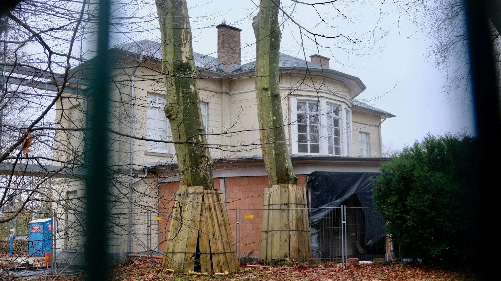 Das Foto zeigt die Rückseite des ehemaligen Bahnhofs Belvedere. Nahe an der Gebäuderückseite stehen zwei Platanen. Die Wurzeln eines Baumes gefährden die Bausubstanz des Bahnhofs. Bretter schützen den unteren Teil der Platanenstämme vor Beschädigungen durch Instandsetzungsarbeiten.