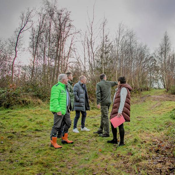 Mehrere Menschen stehen auf einer von dünnen Bäumen eingefassten Wiese.