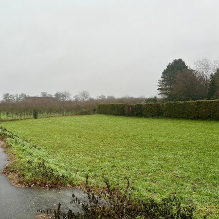 Die L 219 auf der Höhe von Neuenhaus