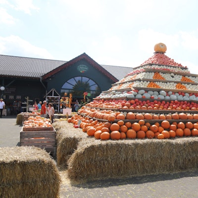 Die Kürbispyramide im Herbst ist weithin sichtbar