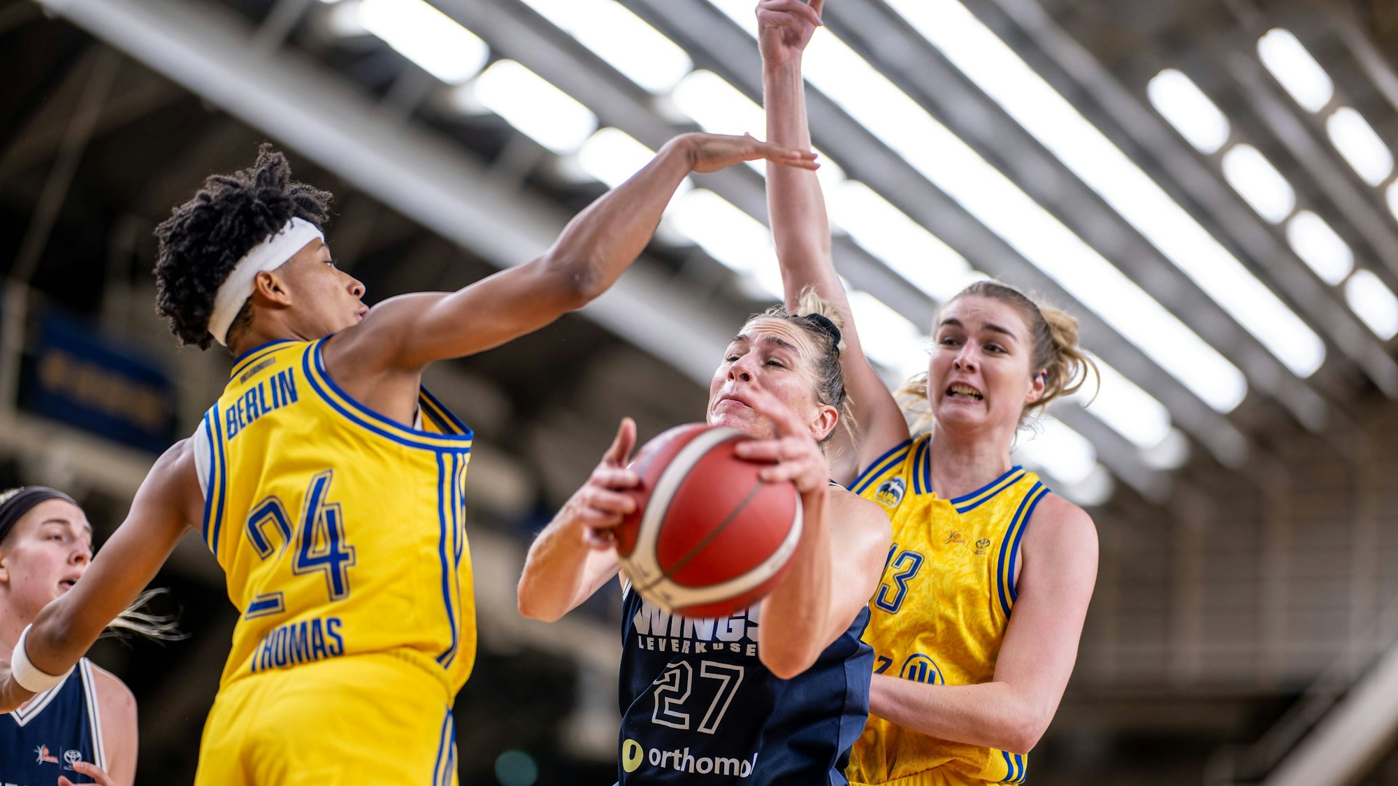 Basketball Berlin 01.11.2023 Saison 2023 / 2024 1. Bundesliga / DBBL Alba Berlin - Orthomol Wings Leverkusen Lisa Koop Leverkusen, No.27 Deeshyra Thomas Alba, No.24 Wiebke Schwartau Alba, No.13 *** Basketball Berlin 01 11 2023 Season 2023 2024 1 Bundesliga DBBL Alba Berlin Orthomol Wings Leverkusen Lisa Koop Leverkusen, No 27 Deeshyra Thomas Alba, No 24 Wiebke Schwartau Alba, No 13