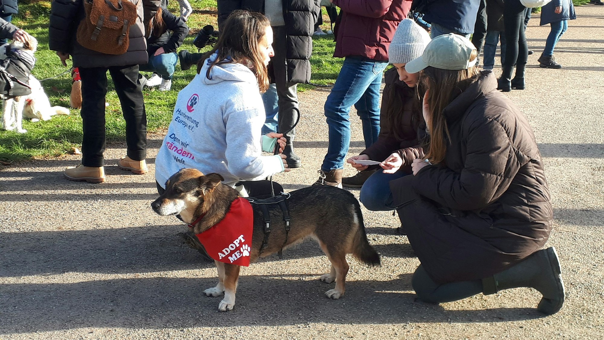 Eine Gruppe Menschen steht um einen Hund herum, der ein Halstuch trägt mit der Aufschrift „Adopt me“.