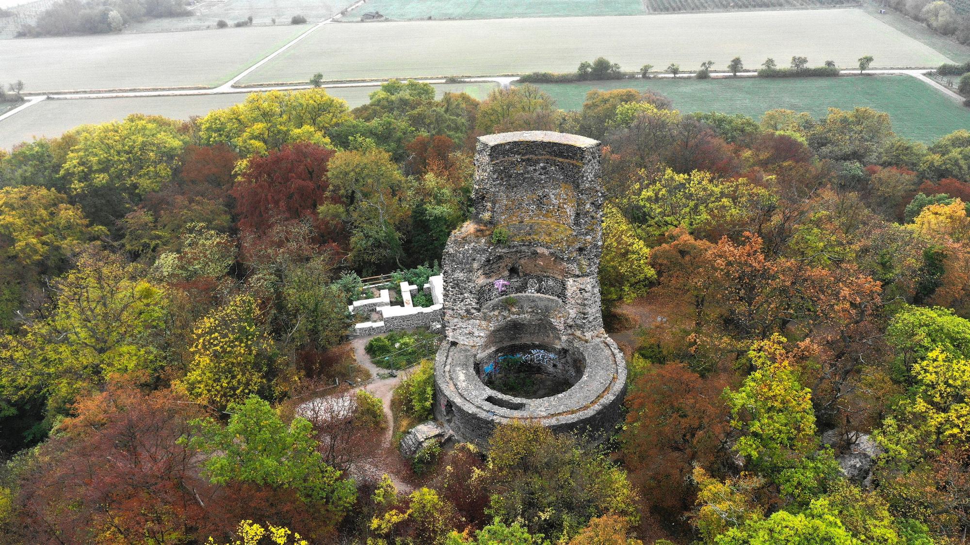 Drohnenfoto vom Bergfried der Tomburg im Rheinbacher Stadtwald