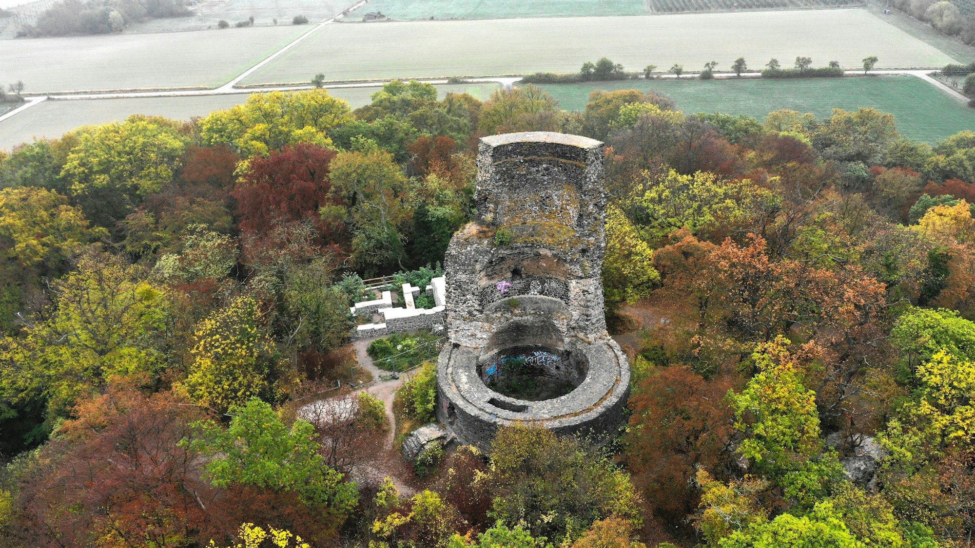 Drohnenfoto vom Bergfried der Tomburg im Rheinbacher Stadtwald