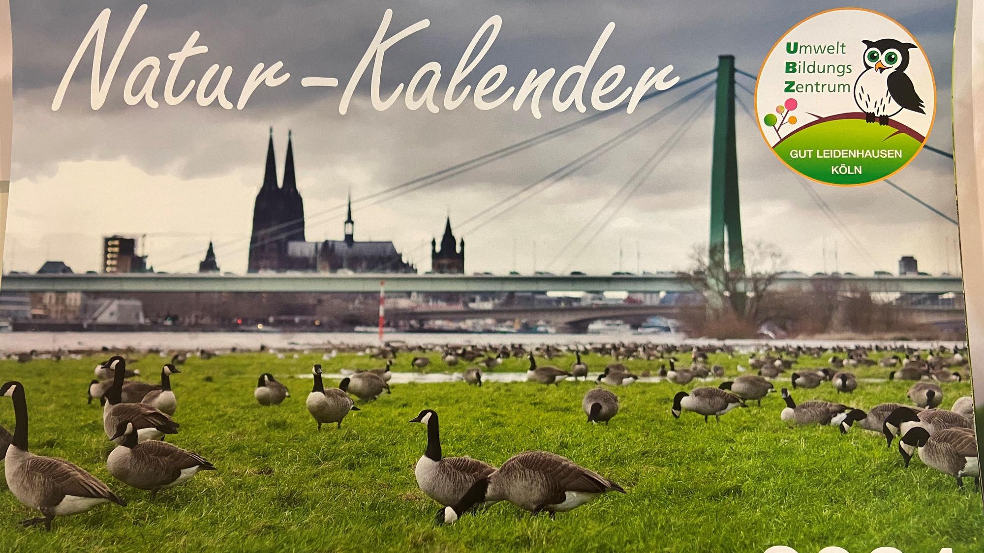 Fotos von Tieren und Pflanzen, die hierzulande als Einwanderer gelten, schmücken den Natur-Kalender. Foto: Lampe