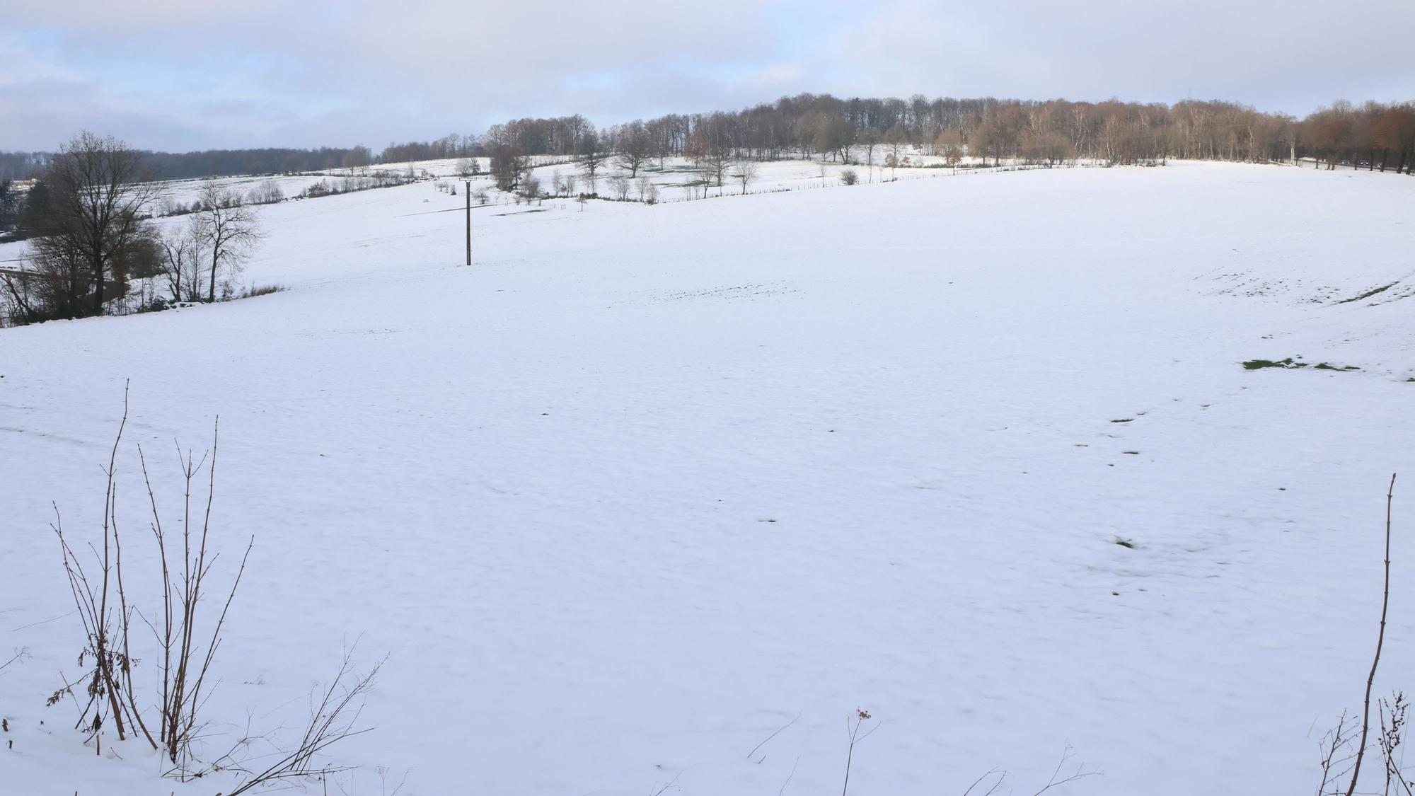Eine weiße Winterlandschaft.