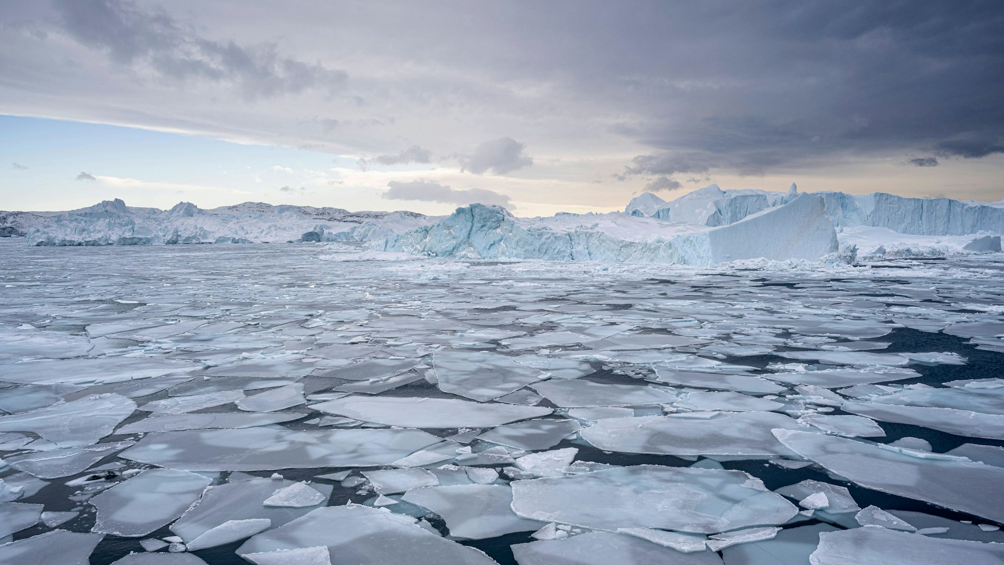Eisberge am Kangia Gletscher in West-Grönland.