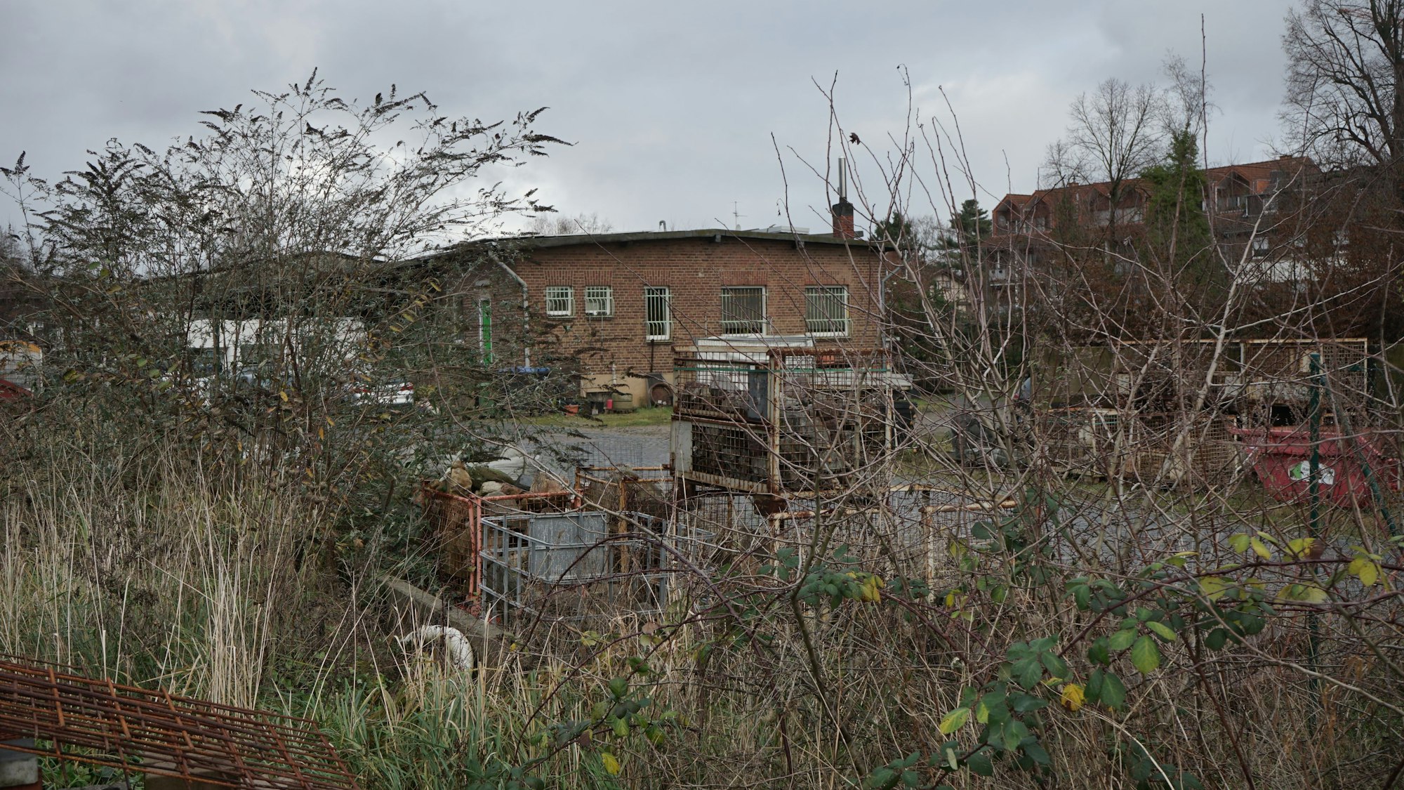 Auf dem Bild ist ein Grundstück in Bedburg zu sehen.