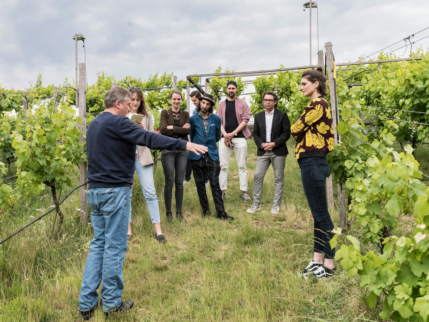 Menschen stehen inmitten von Weinreben.