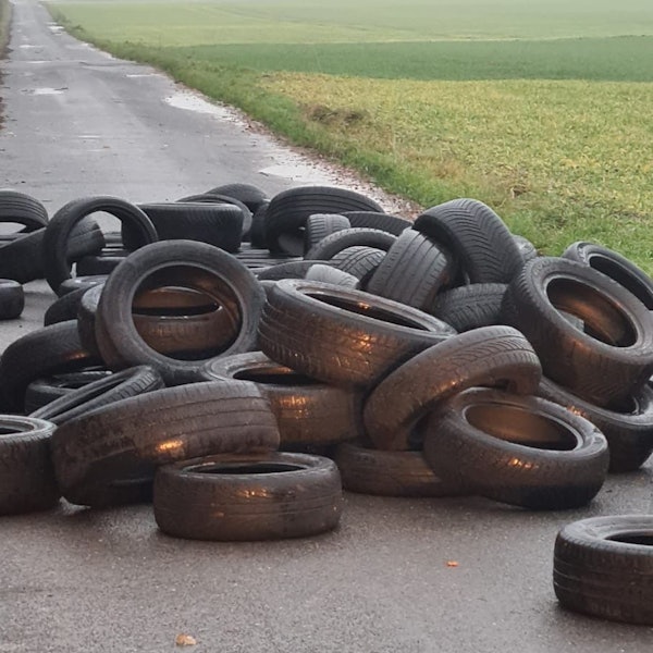 Reifen am Pauls Maar