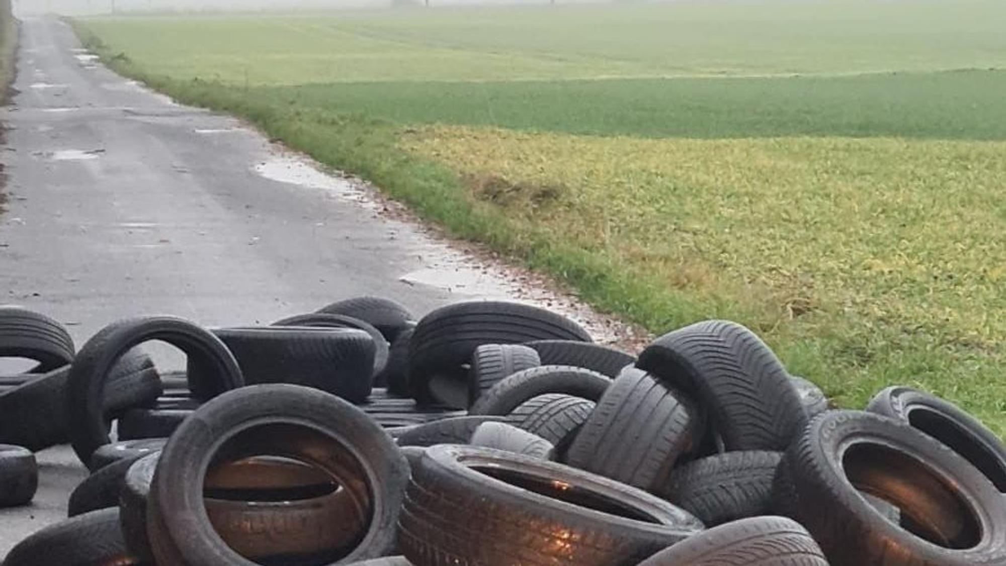 Reifen am Pauls Maar