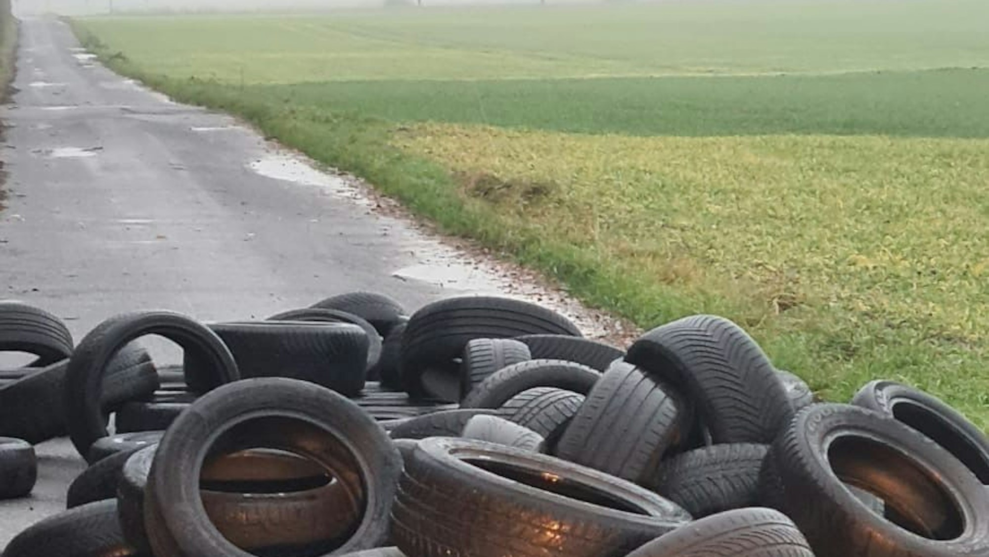 Reifen am Pauls Maar