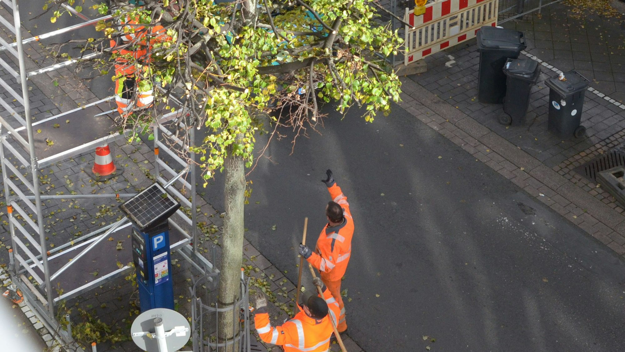 Ein Mitarbeiter der Technischen Dienste beschneidet von einem Gerüst aus einen Baum. Zwei Kollegen stehen neben dem Stamm.