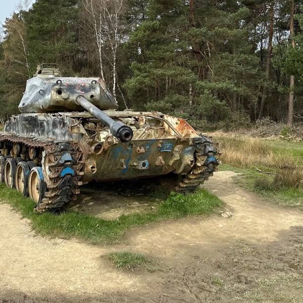 Düsterer Anblick: Einer der alten Kampfpanzer im Brander Wald.