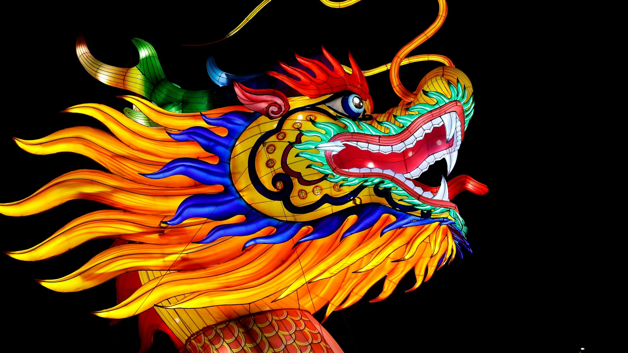 ein leuchtender Drache beim China Lights Festival im Kölner Zoo