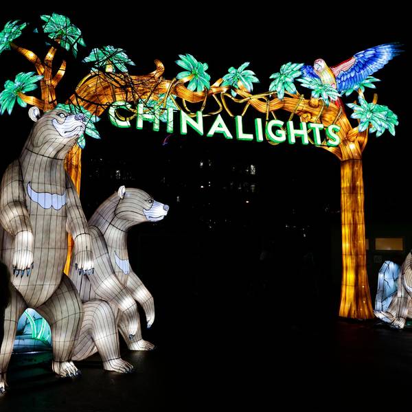 Zu sehen ist das beleuchtete Eingangstor mit der Aufschrift "China Lights" und Bären.