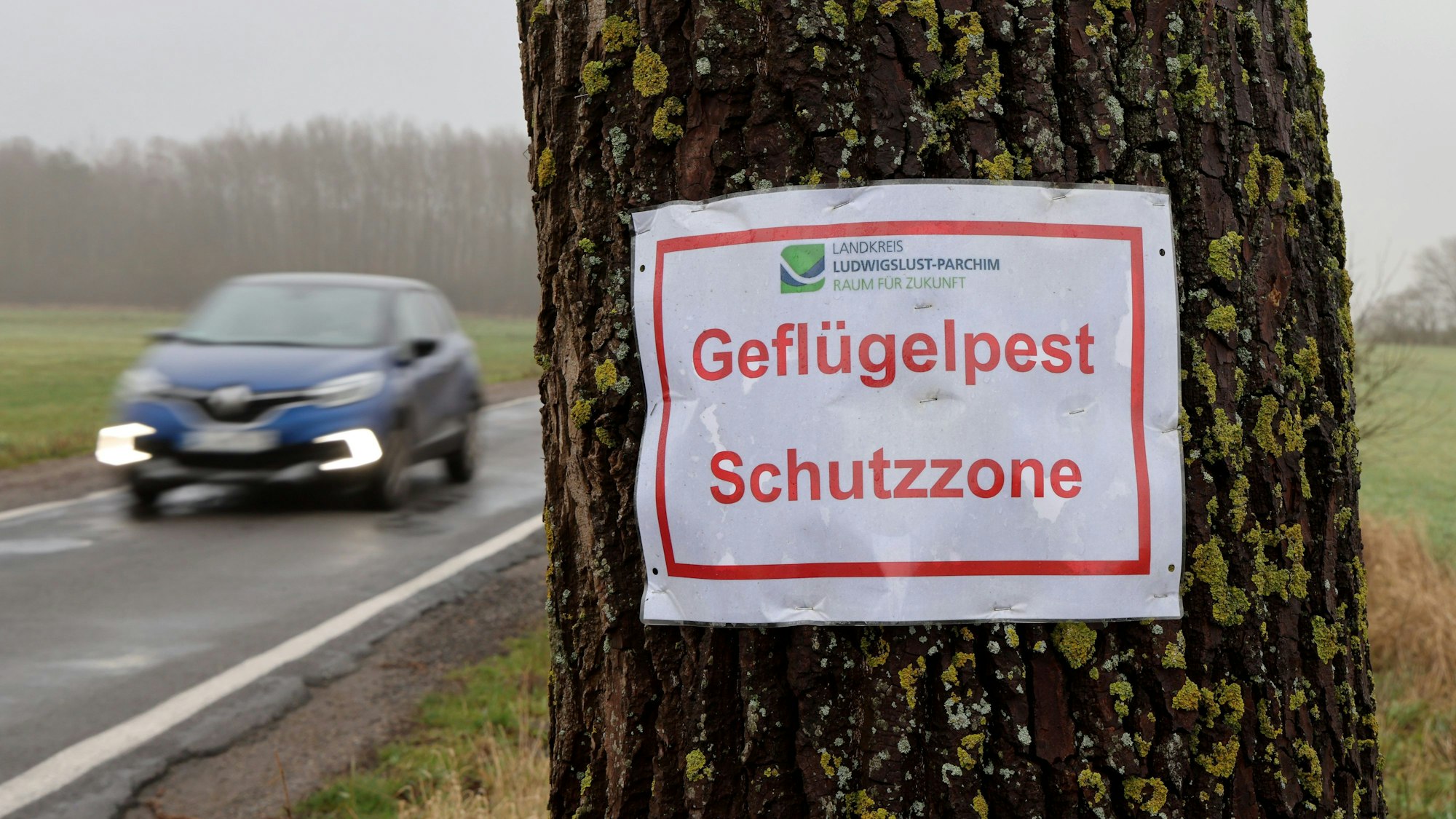 In der Nähe eines Putenmastbetriebes in der Gemeinde Lewitzrand, der in diesem Jahr bereits zwei Mal von einem Vogelgrippe-Ausbruch betroffen war, warnt ein Aushang des Landkreises "Geflügelpest Schutzzone".