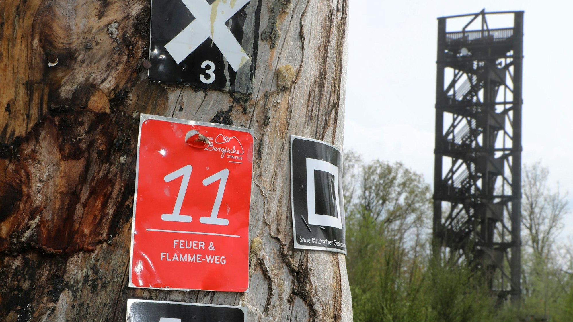 An einem Baum hängen Wegemarkierungen, unter anderem des Feuer- und Flamme-Wegs, in Bergneustadt. Im Hintergrund ist der Aussichtsturm Auf dem Knollen zu sehen.