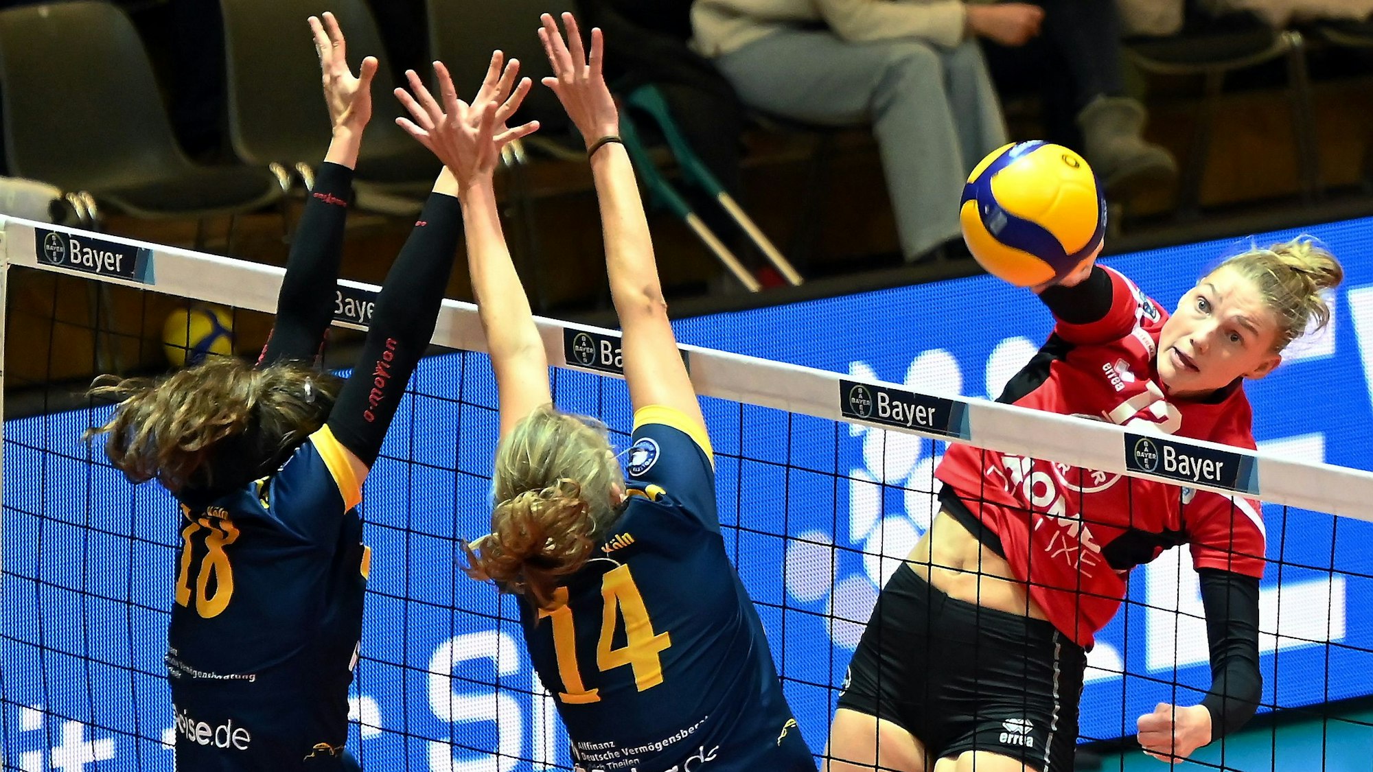 16.12.2023, Volleyball-Bayer Volleys-DSHS Köln
rechts: Laurine Vinkesteijn (Bayer)
Foto: Uli Herhaus