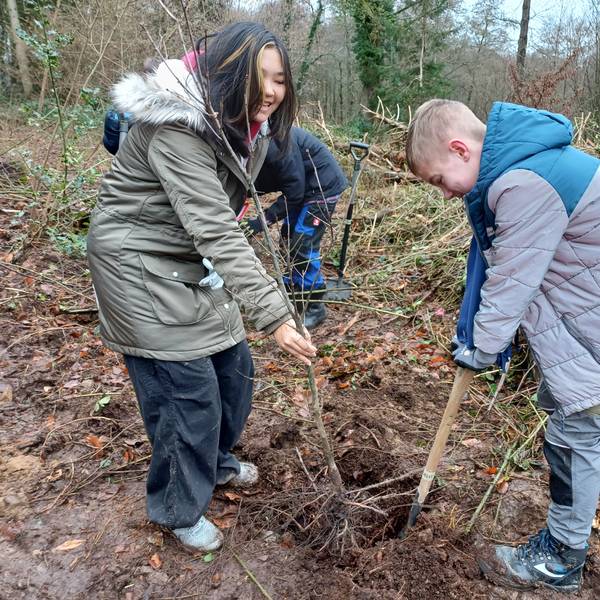 Die Baumpflanzaktion ist Gruppenarbeit. Nachdem John ein Loch gegraben hat, kann Julia den Baum vorsichtig einsetzen.