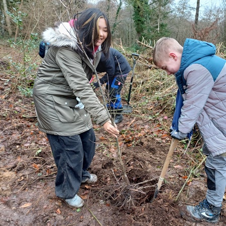 Die Baumpflanzaktion ist Gruppenarbeit. Nachdem John ein Loch gegraben hat, kann Julia den Baum vorsichtig einsetzen.