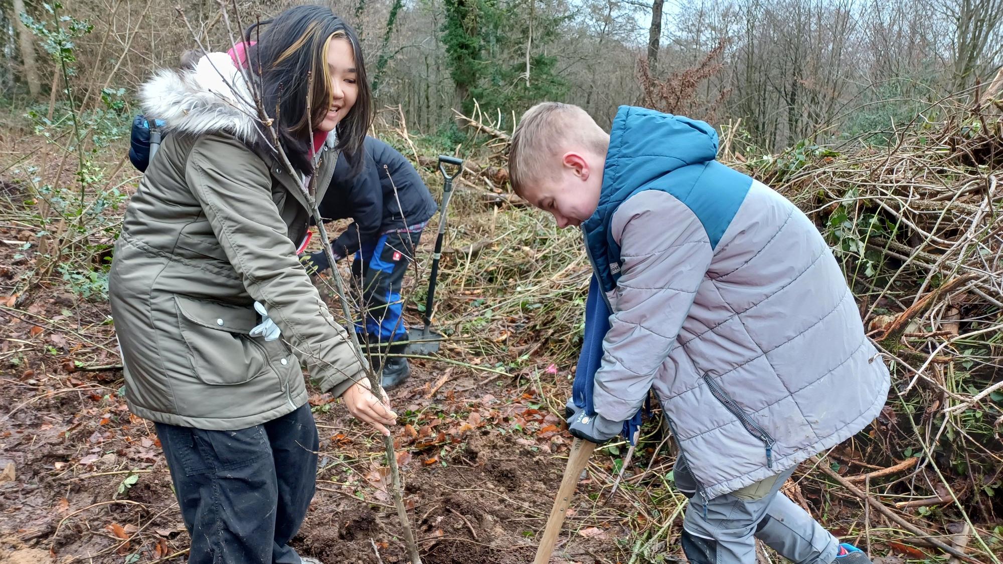 Die Baumpflanzaktion ist Gruppenarbeit. Nachdem John ein Loch gegraben hat, kann Julia den Baum vorsichtig einsetzen.