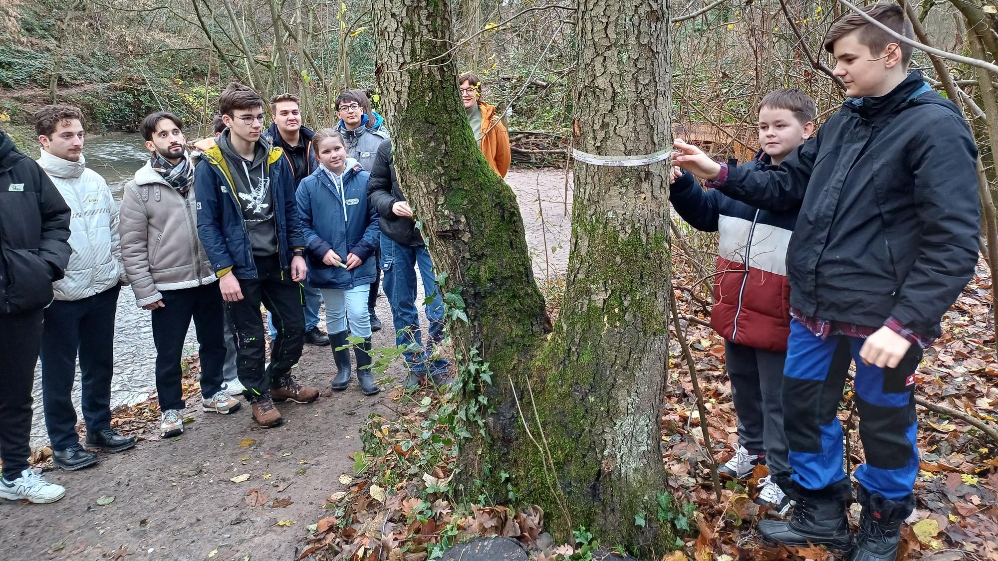 Bevor es ans Pflanzen geht, lernen die Teilnehmerinnen und Teilnehmer, wie viel CO₂ ein Baum speichern kann.