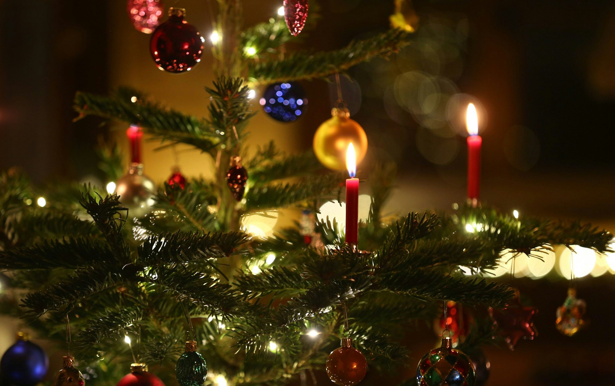 Kerzen brennen in einem Wohnzimmer an einem geschmückten Christbaum.