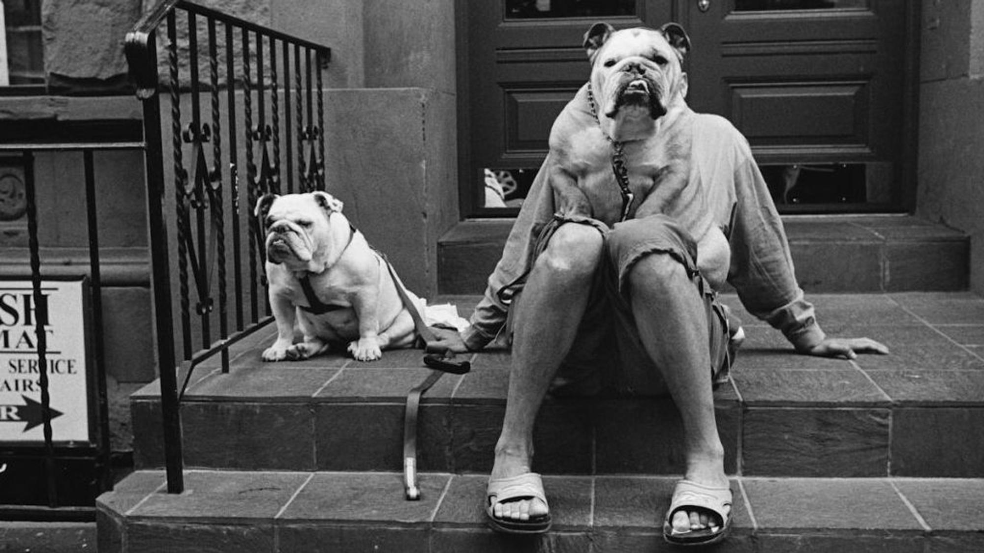 Erwitt 1: Bulldogge und Mensch