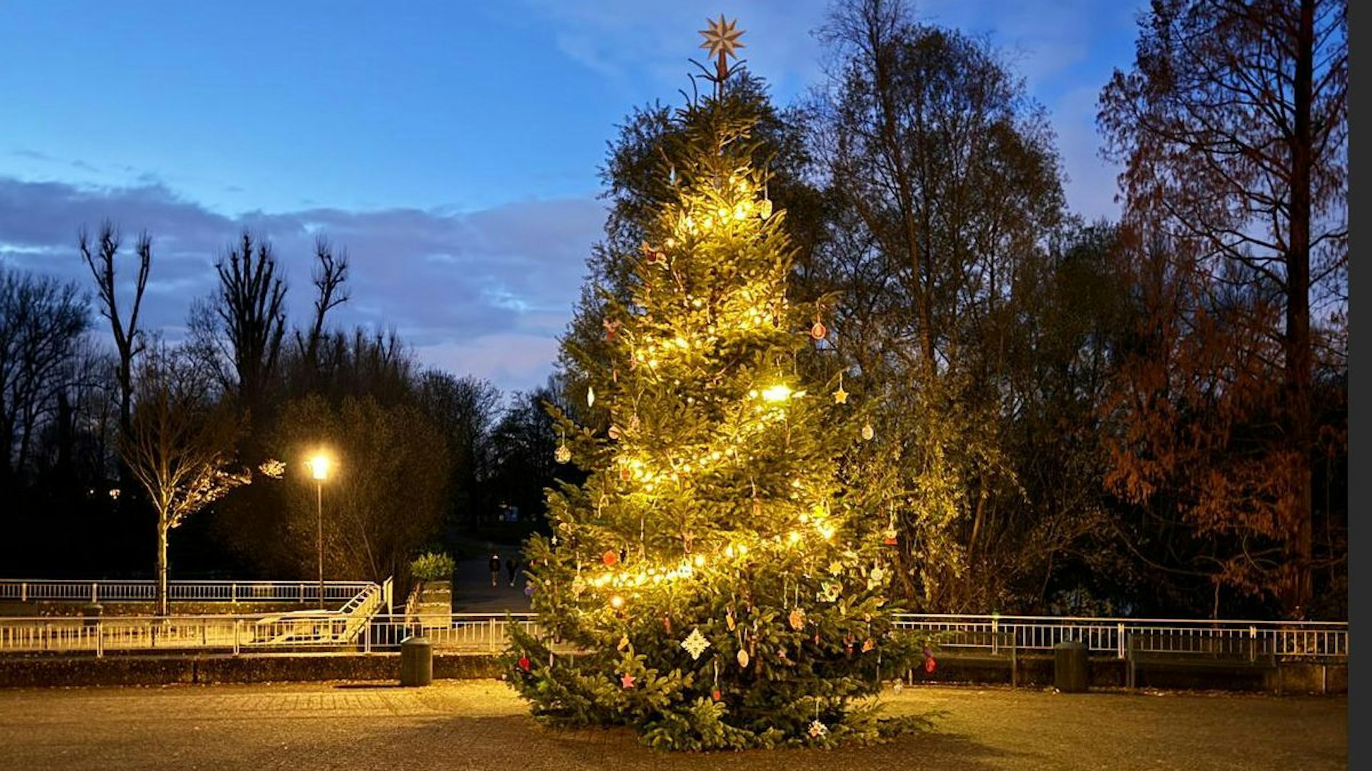 Der Weihnachtsbaum an der Zündorfer Groov.
