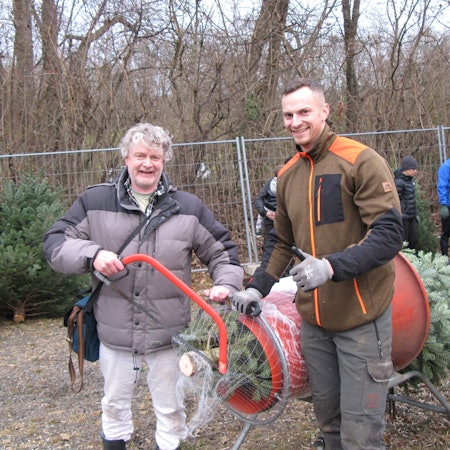 Der Zeitungsreporter mit Säge steht mit dem Weihnachtsbaumverkäufer an der Röhre, in dem der selbst geerntete Christbaum zum Einnetzen steckt.