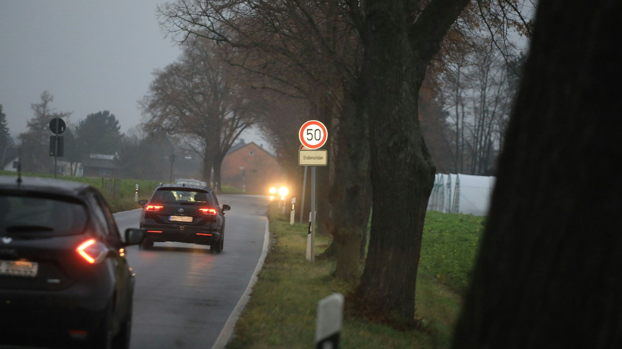 Ein Tempo-50-Schild steht an einer baumbestandenen Straße.
