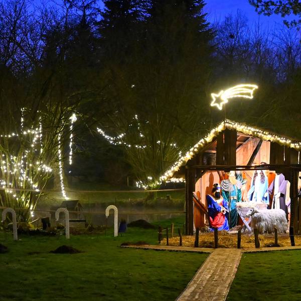 Eine lebensgroße Krippe steht in einem mit Lichterketten geschmückten Garten.