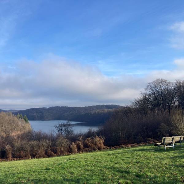 Winterlicher Blick auf die Wahnbachtalsperre am Mönchweg.