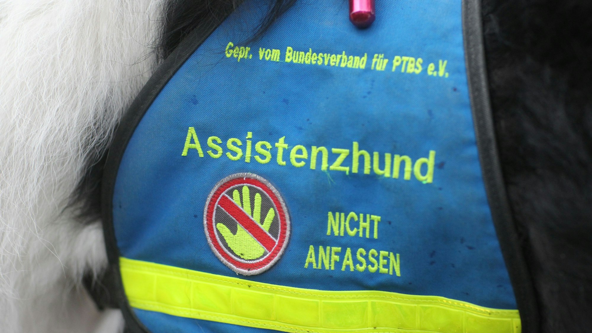 Geschirr mit Aufdruck„ Assistenzhund“