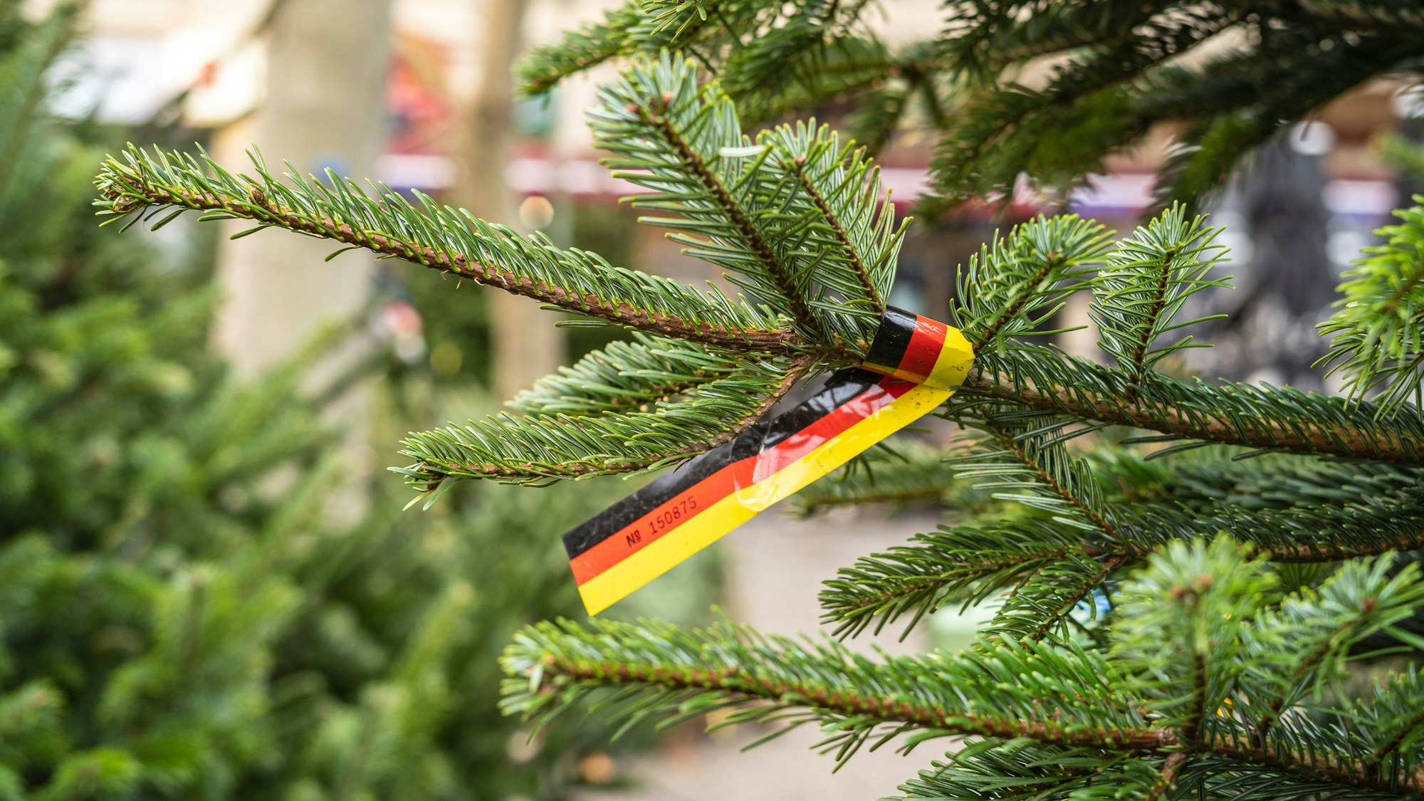 Weihnachtsbaum mit Deutschlandflagge