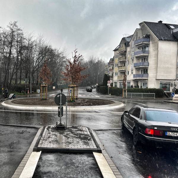 Der Kreisel Rennbaumstraße ist von der Seite Stauffenbergstraße geöffnet. In der Kreismitte stehen drei Eichen anstelle der Milleniumseiche.