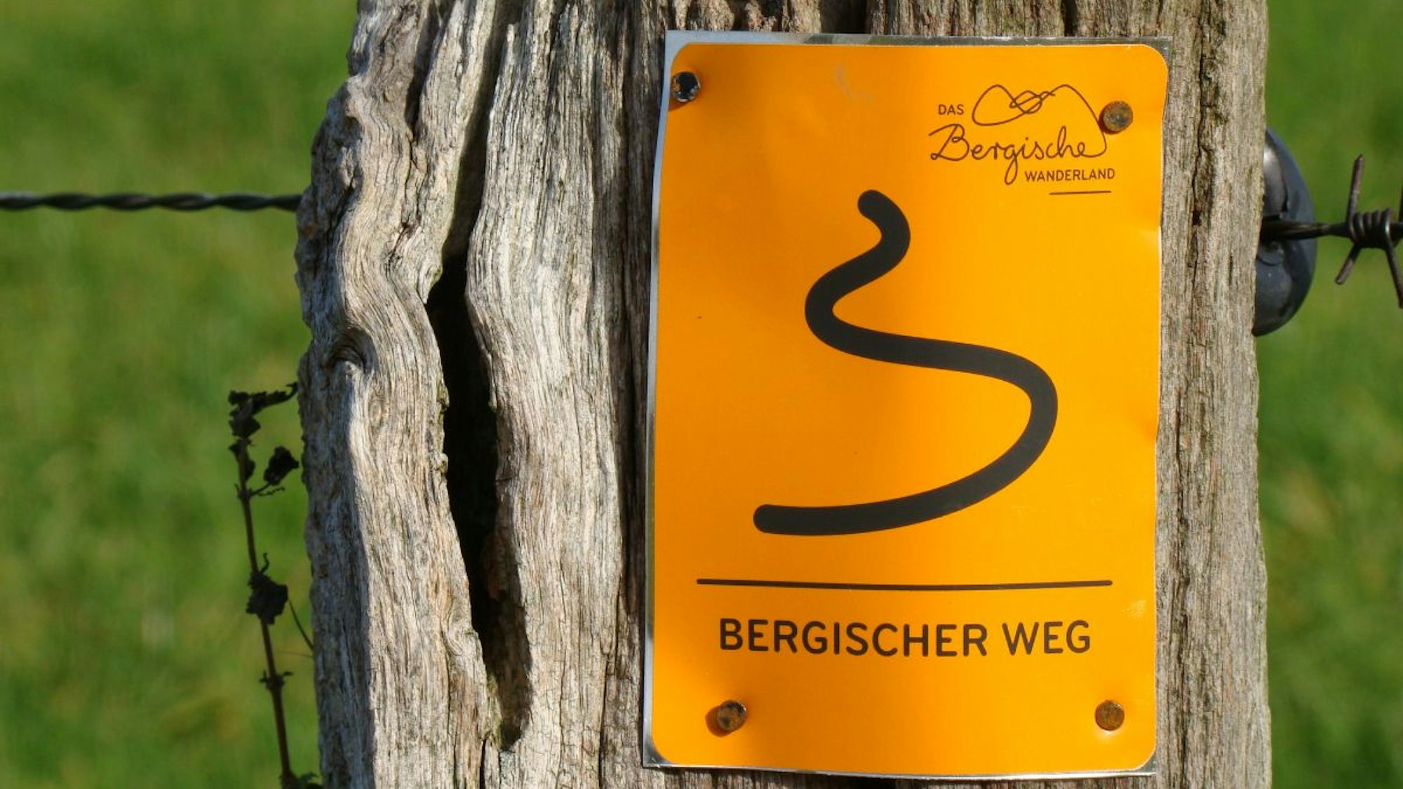 Der Bergische Weg mit einer Gesamtlänge von 259 ist mit kleinen Tafeln ausgeschildert.