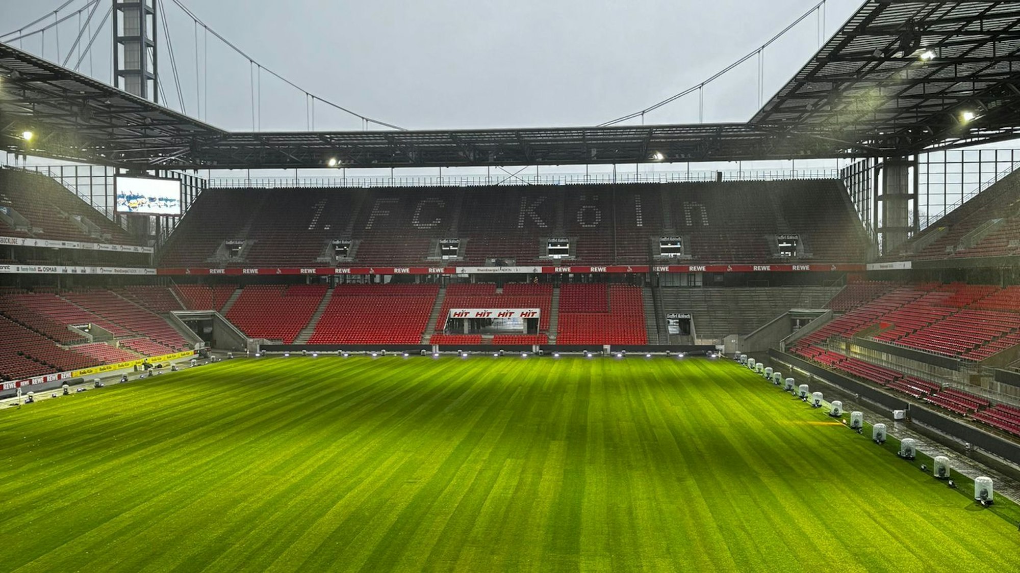 Blick auf den frischen Rasen im Rhein-Energie-Stadion