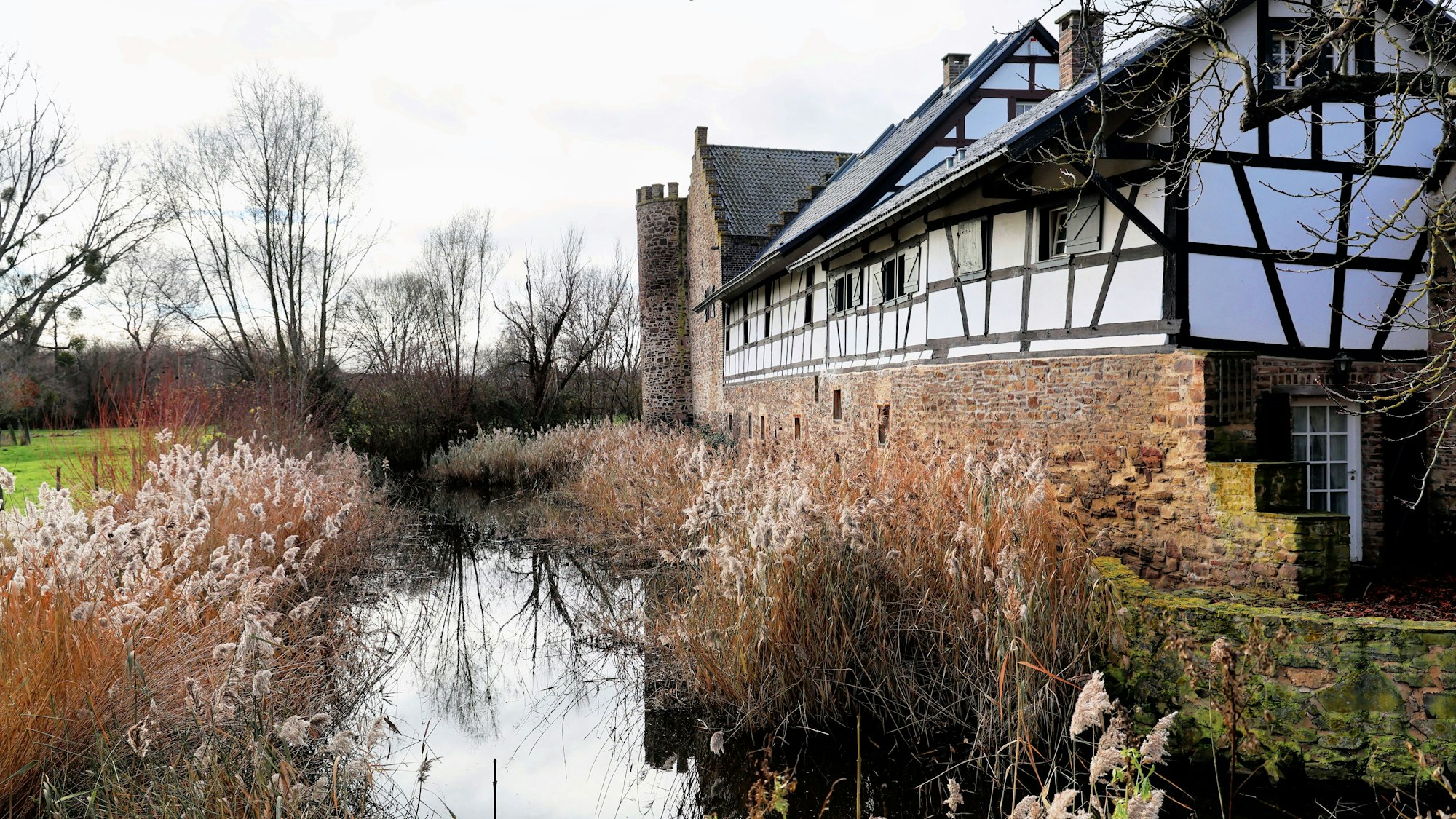 Auf der Wasserseite eines Fachwerkflügels ist einer der beiden Türme zu sehen. Schilf wächst zu beiden Seiten des Wassergrabens.