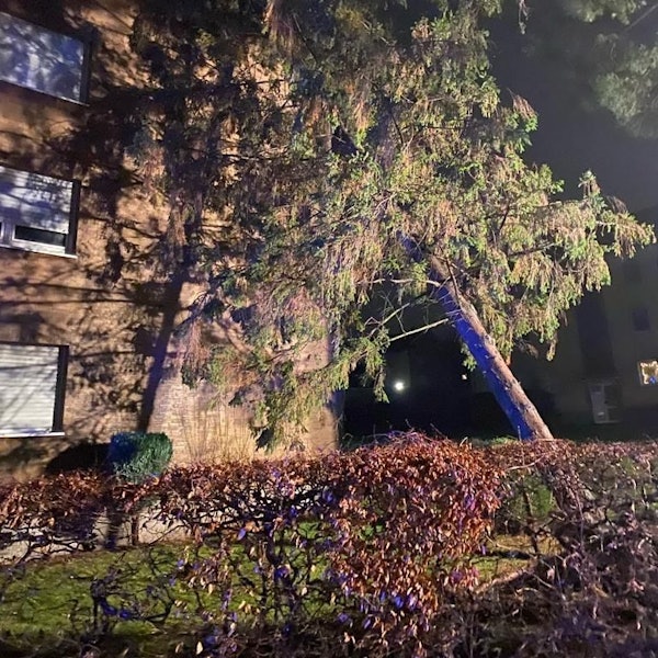 Zu sehen ist eine Tanne, die auf ein Wohnhaus gekippt ist.