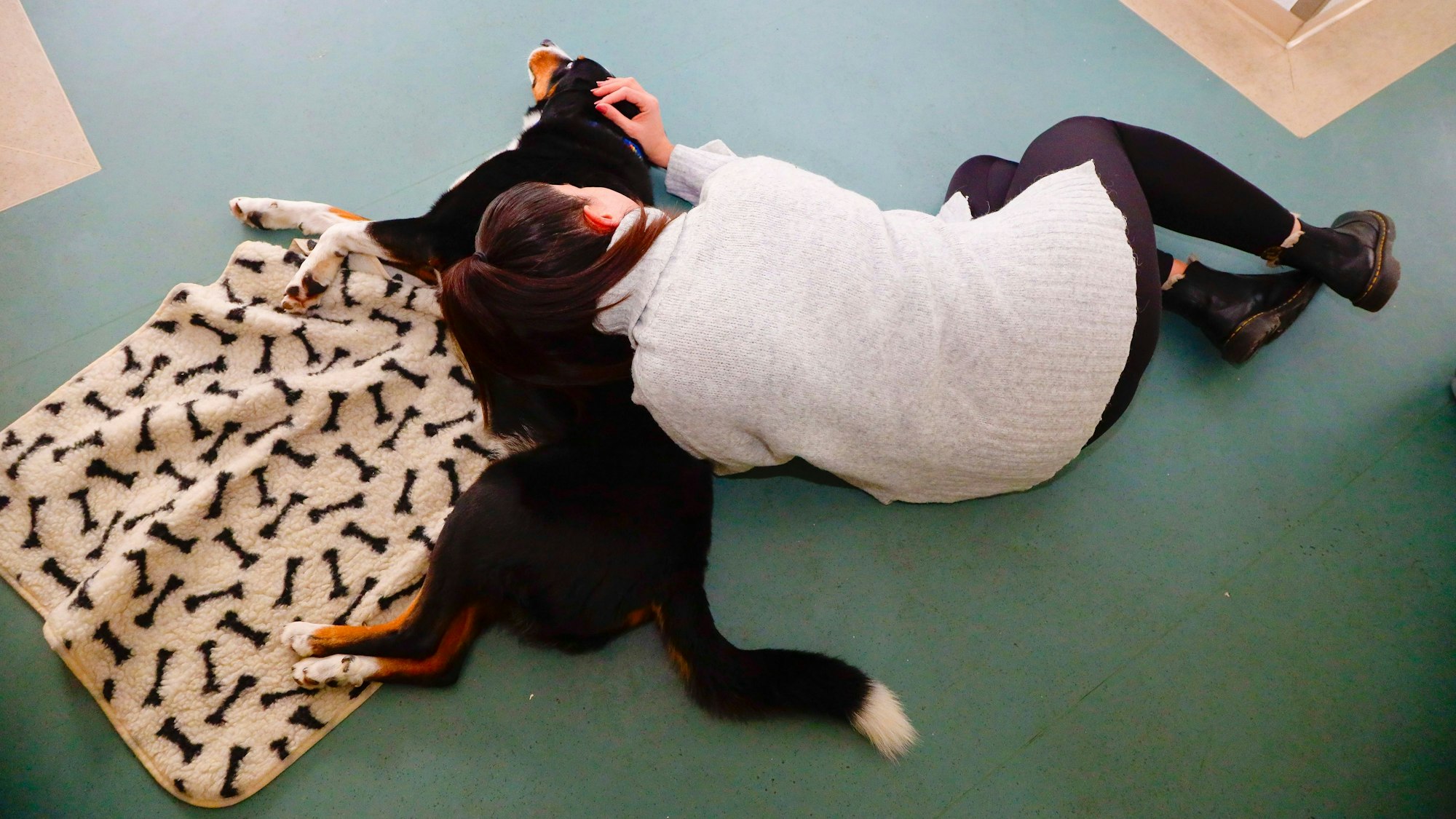 Therapiehund Rico der.Jugendpsychiatrie Holweide liegt mit einer Patientin auf dem Boden.