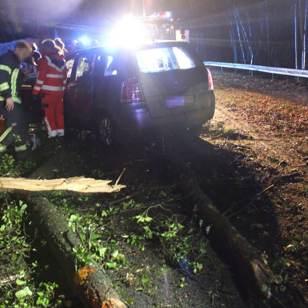 Ein Unfallauto steht vor einem umgestürzten Baum, im Hintergrund ist Blaulicht zu sehen.