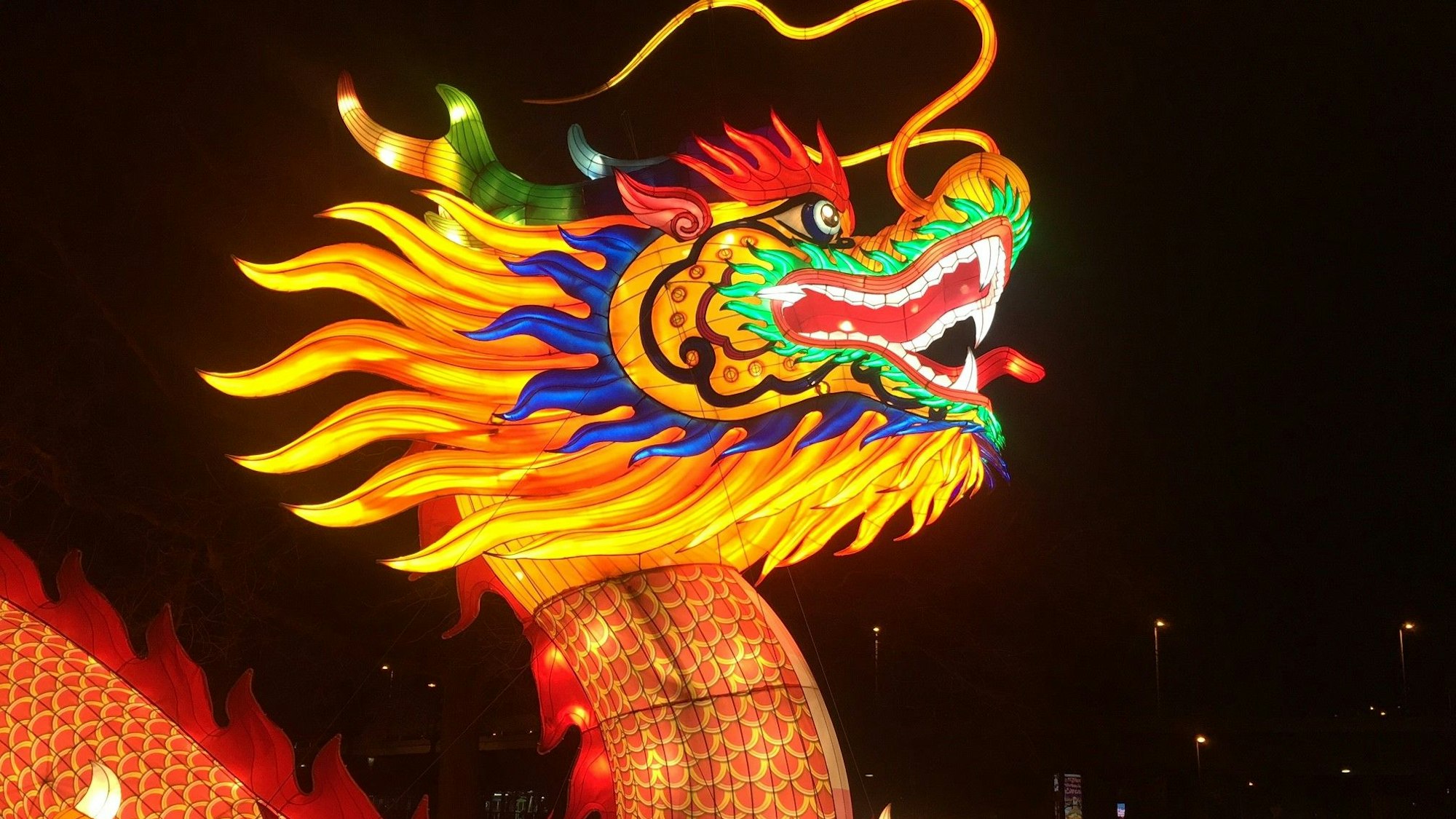 Die vierte Auflage des Festivals geht noch bis Ende Januar 2024 im Kölner Zoo.